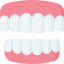 denture